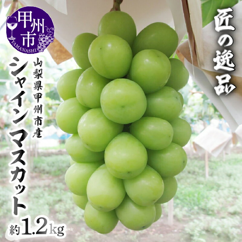 【ふるさと納税】 シャインマスカット 2026年発送 約1.2kg 2～3房入り 期間限定 数量限定 フルーツ 果物 果実 ぶどう 葡萄 シャイン マスカット 甲州市産 厳選 新鮮 旬 おすすめ 贈答 ギフト 家庭用 社員マスカット 山梨県 甲州市 （NK） 【B-422】