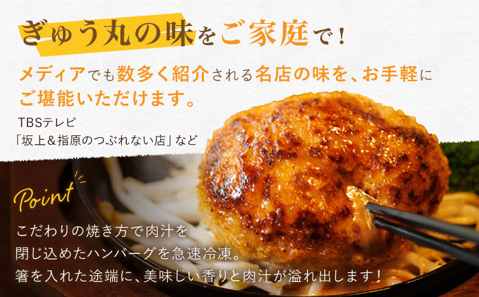 【6回定期便】〈メディア紹介多数〉ぎゅう丸の人気ハンバーグ 3種 バラエティ セット 総計54個【ぎゅう丸】 [NCQ102]