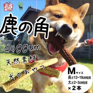 鹿の角（Ｍ×2本 ）ペット用犬のデンタルおもちゃ｜ペット用品