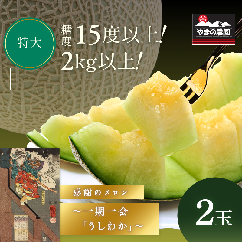 【0925-3】やまの農園　感謝のメロン～一期一会「うしわか」～≪先行予約≫【2026年7月中旬より順次発送予定】
