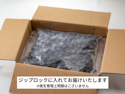 ブルーベリー  冷凍 1kg フルーツ ベリー 果物