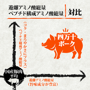 【鶏もも肉】鶏肉 と 豚肉 の セット 計1.1kg ( 鶏もも肉 500g と 豚肉 スライス 600g )