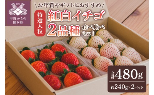 【2026-2027発送分】特選大粒　紅白イチゴ２品種食べ比べセット　IC-09 いちご イチゴ 苺 紅白イチゴ 紅白いちご 紅白苺 特選大粒 先行予約 食べ比べ セット ギフト 贈答 プレゼント 採れたて フルーツ 計2品種 約240g×2パック 冷蔵 フルーツ王国山梨 甲府市産