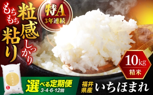 【12回定期便】  福井県産 いちほまれ 精米 (白米) 10kg 福井自慢のブランド米 一等級　福井県米 / コシヒカリ発祥 ブランド 特A常連 小浜市 / 若狭ふれあい市場 [BFEL051]