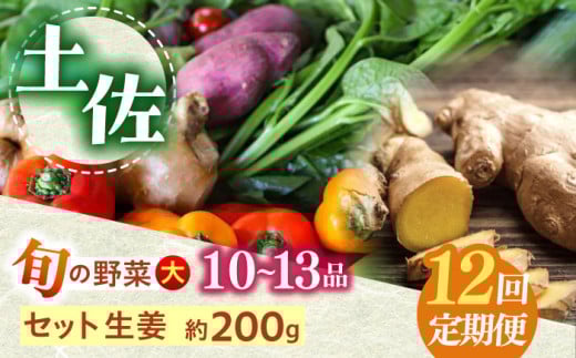 【12回定期便】土佐の太陽をいっぱいに浴びた旬の野菜生姜約200gのセット「大」 (12回配送)【土佐野菜】 [ATBA016]