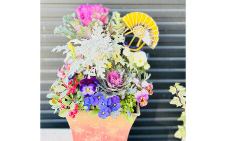 新年を華やかに彩る お正月の寄せ植え(おまかせ) / 正月飾り 花苗 鉢 ピック【GreenlifeYoshimura】[BHBG001]
