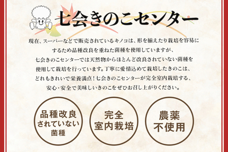 きのこの詰め合わせ Mサイズ（茨城県共通返礼品・城里町産）