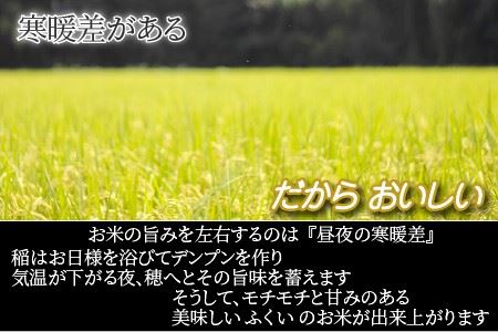 【試食PR用】福井県産 いちほまれ ＆ コシヒカリ 計10kg【A-3281】