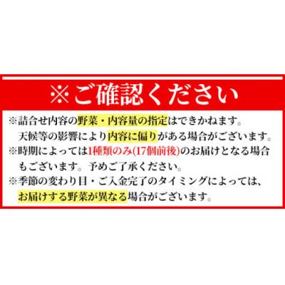 ふるさと納税 霧島市 <通常便>霧島市産の野菜おまかせBOX(17個前後)【FoodBase】K-225-A |  | 01