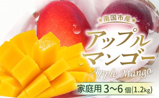 家庭用アップルマンゴー 1.2kg（2026年6月～発送）| 高知県産 マンゴー アップルマンゴー フルーツ 果物 厳選 人気 デザート 贈り物 くだもの 旬 お取り寄せ 訳アリマンゴー 甘い 先行予約 訳あり 産地直送マンゴー 万円 西島園芸団地 高知県 南国市