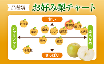 【先行予約】稲田ペアファームの豊華梨 （ゆたかなし） 5〜6玉 〈2026年9月〜発送〉 ／ フルーツ 果物 くだもの 食品 人気 おすすめ 梨 なし ゆたか 和梨 甘い 旬 ふるさと納税 四国 愛媛