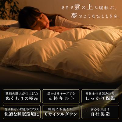 ふるさと納税 吉野川市 羽毛 ダウン 敷きパッド シングル 1枚 |  | 01
