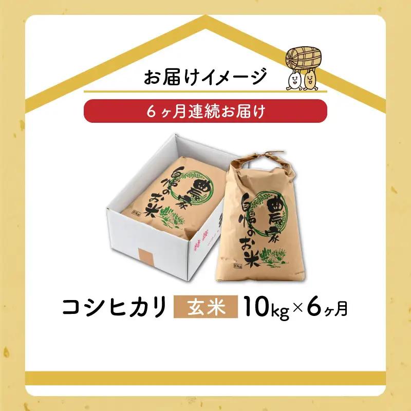 米 令和8年産 コシヒカリ 玄米 定期便 10kg×6回[G-040001]