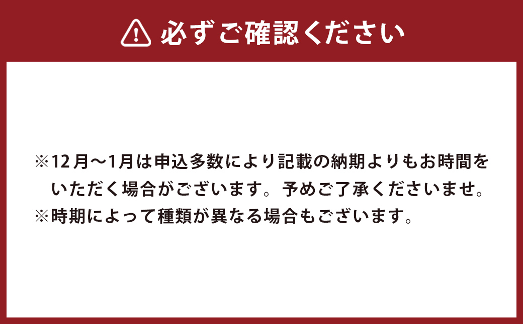 手作りアイス 8個セット