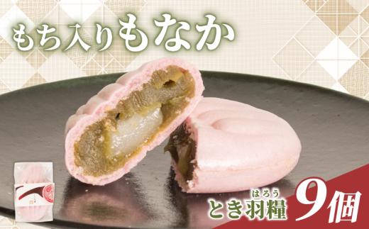 もち入りもなか 抹茶 9個 和菓子 お菓子 菓子 おやつ おかし わがし 最中 モナカ 求肥 入り 餅入りもなか 求肥入りもなか 小豆 あずき まっちゃ 母の日 父の日 お中元 お取り寄せ 贈答 贈り物 お土産 土産 おみやげ ギフト プレゼント とき羽糧 石川県 羽咋 トキ 放鳥 の 地 とき 朱鷺 能登 災害 復興 支援 ふるさと納税 復興支援