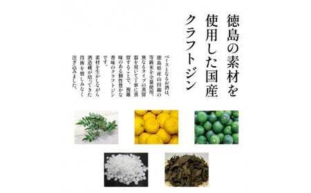 クラフトジン AWA GIN 飲み比べ 2本 （各 200ml） ジン
