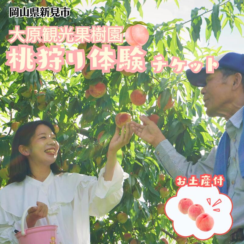 【ふるさと納税】岡山 新見 桃 白桃 桃狩り 桃狩り体験 体験 果物狩り 大原観光果樹園 食べ放題 お土産付き おすすめ 人気 ひとり ふたり ペア ペアチケット