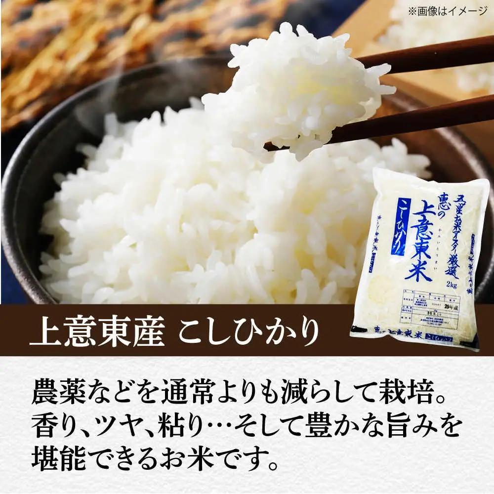 米 【全6回定期便】五ツ星お米マイスター厳選 こだわり米毎日食べ比べ (上意東産コシヒカリ･東出雲産きぬむすめ) 各2kg×6回 島根県松江市/株式会社沼田米穀店[ALBU011]