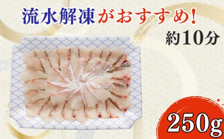 【価格改定予定】鯛 刺身 250g 鯛めし 真鯛 しゃぶしゃぶ カルパッチョ アレンジ自在 沼津港 駿河湾 スルガ