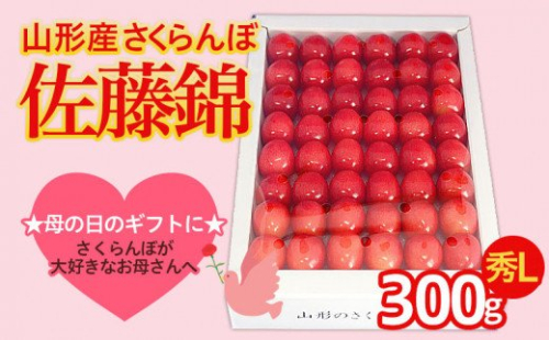 ★5月まるごと母の日★さくらんぼ 佐藤錦 秀L 300g 手詰  (5/15～発送)【オンライン決済限定】 FS24-679
