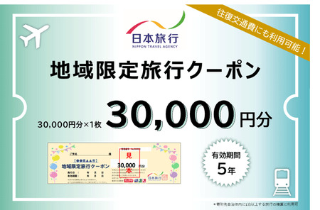 日本旅行 地域限定旅行クーポン 30,000円 E-40