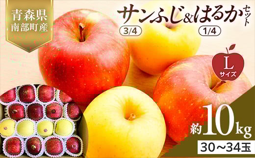 青森県産 サンふじ(3/4)・はるか(1/4)セット Lサイズ 10kg 【佐々木あきおはるこ農園】 青森りんご リンゴ 林檎 アップル あおもり 青森県 南部町 三戸 果物 くだもの フルーツ F21U-577