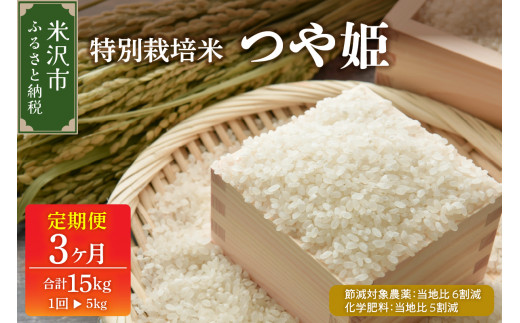 【先行予約】2027年4月配送開始 3ヶ月定期便  令和8年産  つや姫 5kg × 3回 計 15kg 特別栽培米 【節減対象農薬：当地比 6割減・化学肥料：当地比 5割減】