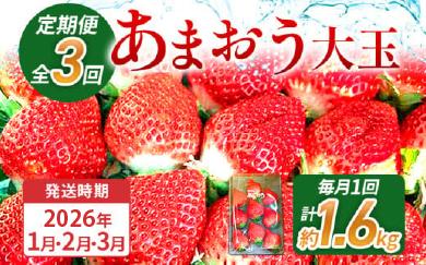 【3回定期便】 期間限定 いちご あまおう 苺 イチゴ 1.6kg あまおう（大玉）、2パック×3回（1月、2月、3月）定期便 【2026年1月～3月中に順次発送】 ※北海道・沖縄・離島は配送不可 大木町産 おおきベリー CT001