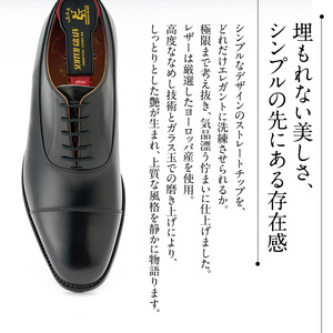 スコッチグレイン ビジネスシューズ メンズ インペリアルII 936 ストレートチップ 革靴 本革 日本製 EEE 送料無料 ギフト 27.0cm