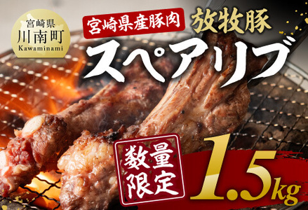 数量限定！宮崎県産豚肉放牧豚スペアリブ1.5kg 【 豚 肉 国産 九州産 宮崎県産 川南町産 豚肉 スペアリブ 】