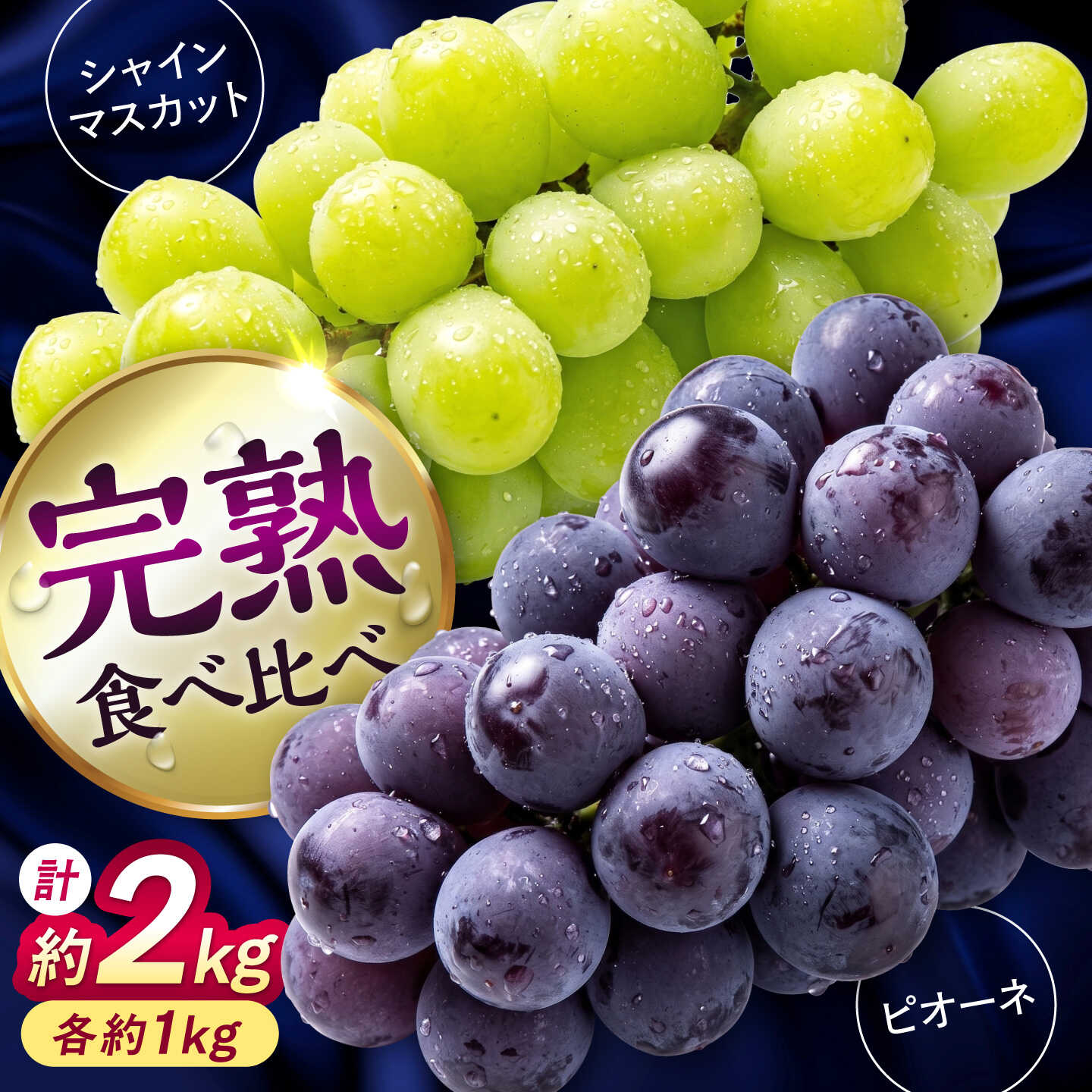 【ふるさと納税】【先行予約】【2027年8月中旬発送開始】熊本県産 種なしピオーネ＆シャインマスカット 各1kg 計約2kg 食べ比べ セット / ぶどう ブドウ フルーツ 果物 くだもの 青果【有限会社 高司農園】[AYDP004]