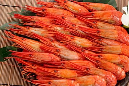 【北海道根室産】北海シマエビ400g(19～24尾) A-81011