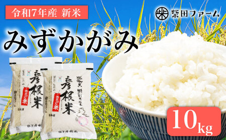 【令和7年産新米】減農薬米 近江米 みずかがみ 白米 10kg ［shiba03] 白米