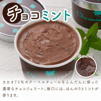 ミントジェラート カップ 3種×2個 ( ジェラート アイス アイスクリーム ハッカ チョコ ミント ミントアイス スイーツ チョコチップミント カカオ カップアイス )【007-0010】