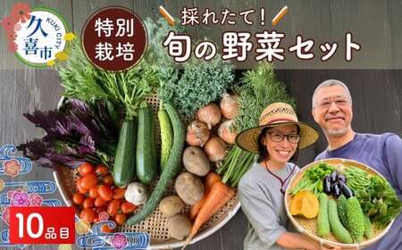 たかしま農園 特別栽培 採れたて 旬の野菜セット 10品目 | 野菜 野菜 野菜 野菜 野菜 野菜 野菜