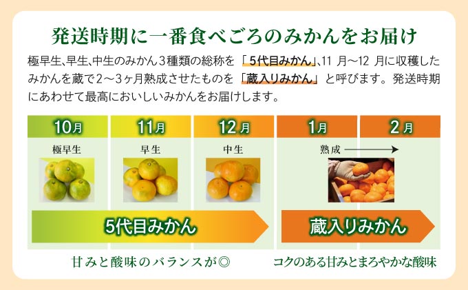 【期間限定】さがみかん （5代目みかん9.5kg）_イメージ3