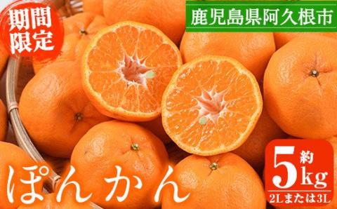 ＜2024年12月中旬以降順次発送予定＞数量限定！鹿児島県産手詰めぽんかん(計約5kg・2Lまたは3Lサイズ)旬 フルーツ果物 くだもの ポンカン 早生系統【三笠農業生産】a-12-85-z