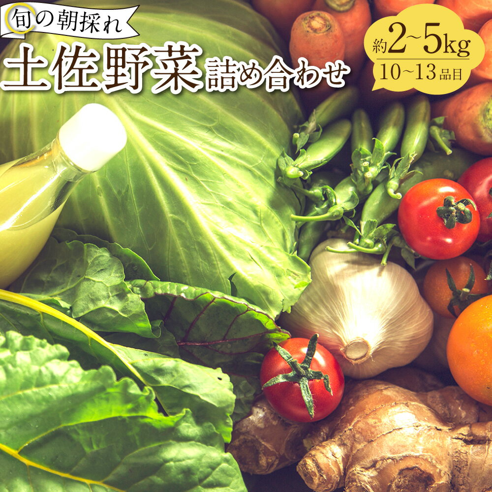 【ふるさと納税】旬の朝採れ土佐野菜詰め合わせ（10～13品目）野菜 お野菜 旬 季節の野菜セット 新鮮 安心安全 産地直送 詰め合わせ やさい 自然 自然派 お取り寄せ 高知県 香美市 送料無料