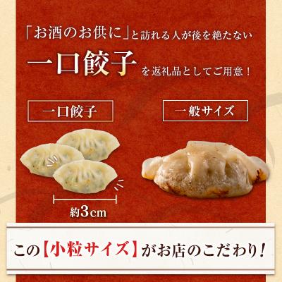 ふるさと納税 宮崎県 ＜定期便・全4回＞「一口餃子の大明神」一口餃子セット 100個 (50個入×2袋) タレ付き |  | 01