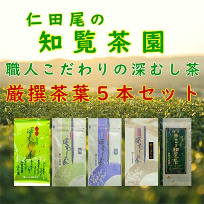 ふるさと納税 南九州市 【自宅用】知覧茶園の深むし茶 厳撰茶葉5本セット
