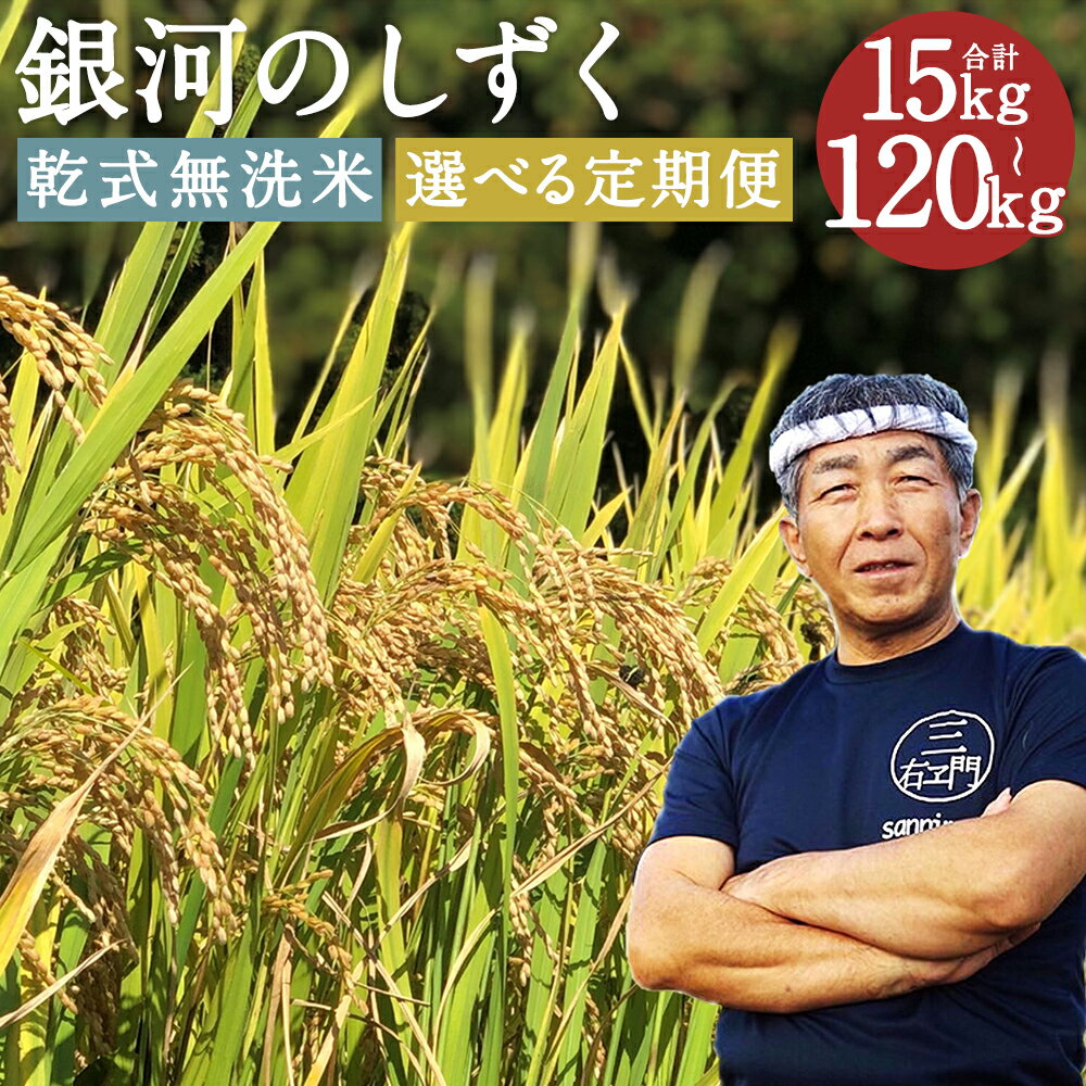 【ふるさと納税】【選べる定期便】岩手県産 銀河のしずく 乾式無洗米 5kg/10kg 3回/6回/奇数月6回/偶数月6回/12回 選べる内容量 お米 白米 精米 産地直送 農家 東北 岩手県産 国産 送料無料【2025年11月以降順次発送予定】