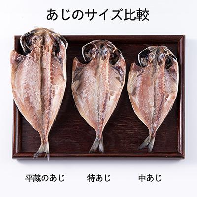 ふるさと納税 伊東市 干物セット【特トロあじ10枚セット】　伊豆・伊東のひもの詰め合わせ　静岡県伊東 |  | 01