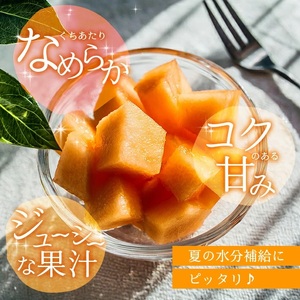 SB0906　庄内砂丘の旬夏 「秀品 赤肉メロン」　約5kg(4～6玉入) 
