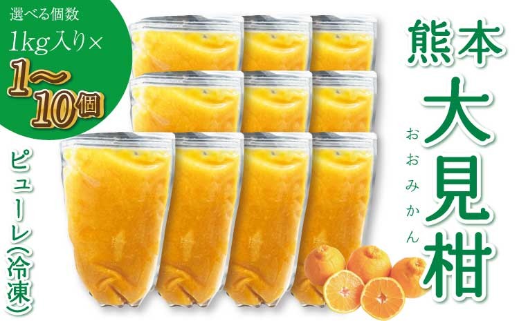 
            熊本大見柑ピューレ(冷凍) 1kg入り 【選べる個数】 1個〜10個 不知火 不知火果汁 しらぬい デコポンと同品種 ピューレ アイス お菓子 料理 爽やか 柑橘 果物 くだもの フルーツ 熊本県産 九州産 国産 宇城市産 株式会社la Nui.
          