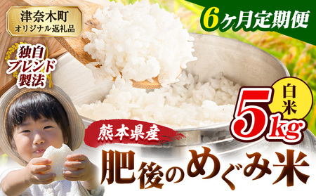 【6ヶ月定期便】熊本県産 白米 ブレンド米 肥後のめぐみ米 5kg 熊本県産 ふるさと納税 精米 米 こめ ふるさとのうぜい コメ お米 おこめ《お申込み翌月から出荷》