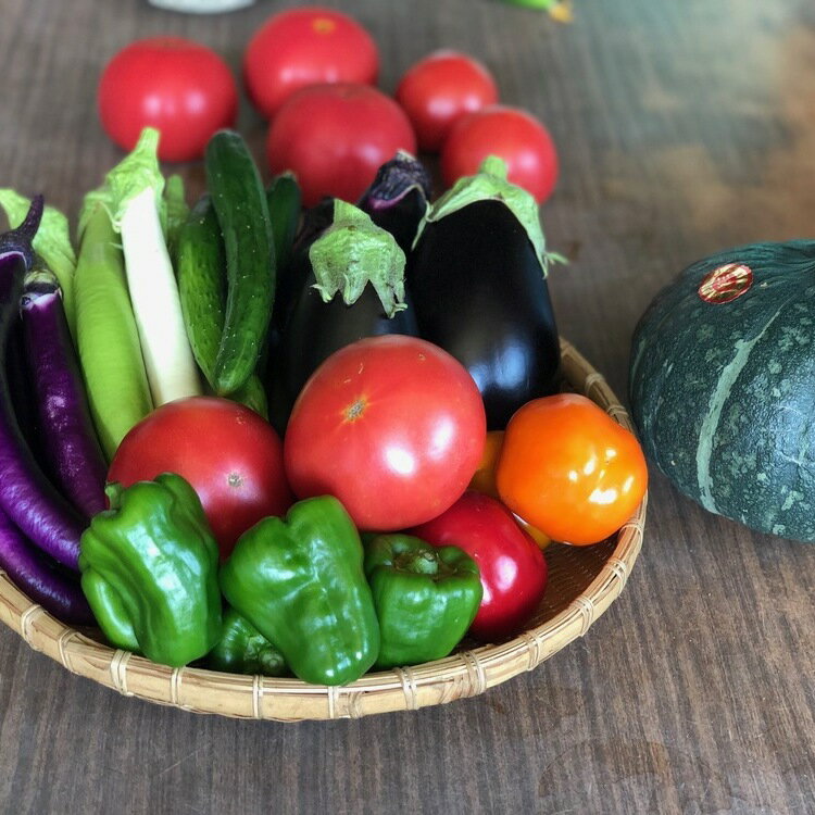 【ふるさと納税】 ボリューム満点 季節の野菜 詰め合わせ （夏）トマト とまと かぼちゃ カボチャ 南瓜 王様トマト 王様とまと 野菜 甘い おいしい ホクホク 栄養満点 セット 野菜セット 旬のやさい くろぜむ農園 神奈川 三浦市 おすすめ ランキング プレゼント ギフト
