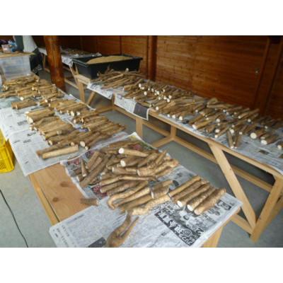 ふるさと納税 久米南町 自然薯　600g |  | 02