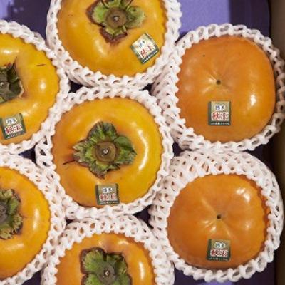 ふるさと納税 吉富町 秋王(あきおう)　柿　約1.5kg箱(4-6玉)(吉富町) |  | 01