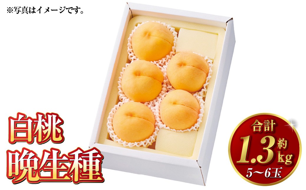 
                  白桃 晩生種 5～6玉（約1.3kg）岡山 桃 晩生種 白麗 瀬戸内白桃 大玉 果実 固め 果肉【2026年8月上旬～9月下旬発送予定】
                
