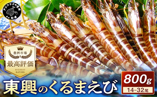 【先行予約】【宅配BOX不可】東興のくるまえび800g入【11月下旬～12月発送】( くるまえび 東興のくるまえび 車海老 海老 エビ )【C8-004-12】
